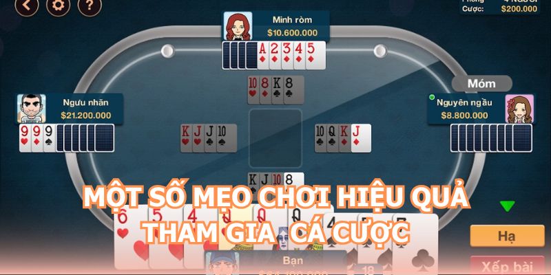 Phỏm NEW88 - Hình Thức Casino Chuyên Nghiệp Hàng Đầu 4 Một số mẹo chơi hiệu quả tham gia cá cược